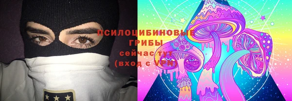 крисы Армянск