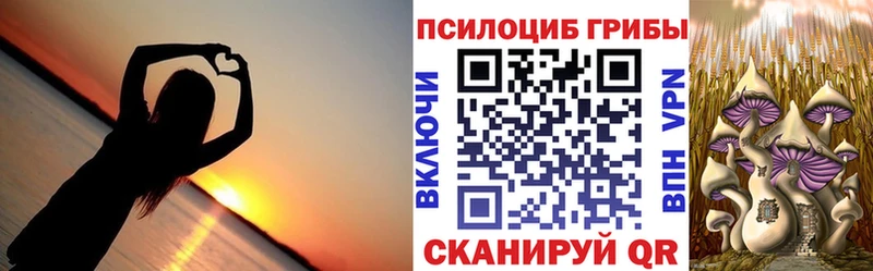 купить наркотик  Рузаевка  Псилоцибиновые грибы прущие грибы 